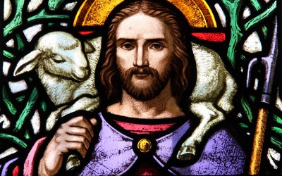 I AM the Good Shepherd – Part 5 of 8